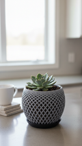 Polygon Planter